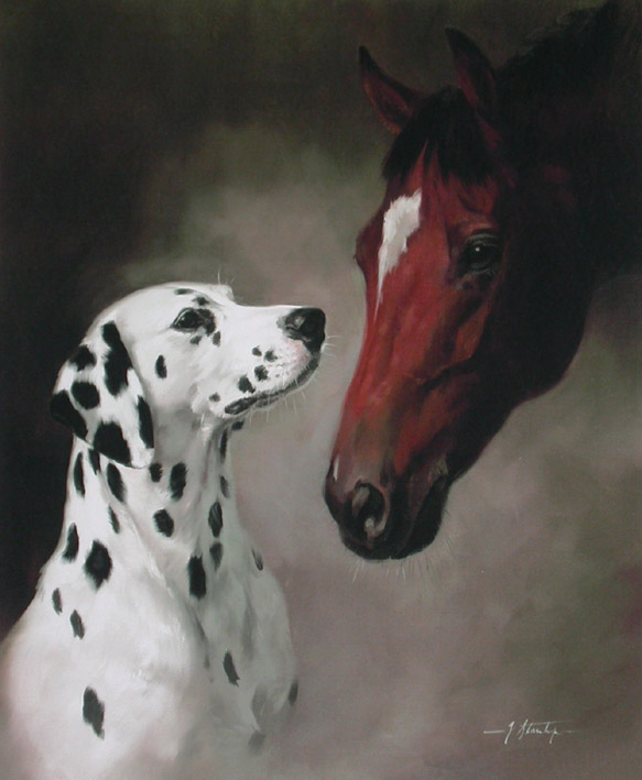 Dalmatian carriage hot sale dog